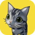 猫猫小能手