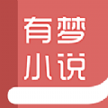 有梦小说纯净版