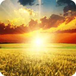 阳光高考网手机版