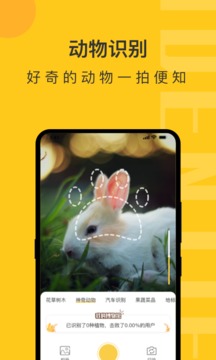 随手拍照识物-图1