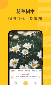 随手拍照识物-图2