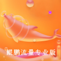 鲲鹏流量