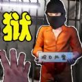 狱长模拟器是一款非常不错的模拟游戏，玩家可以轻松在这里玩耍体验，不会有任何的压力。这款游戏完美还原监狱场景，还有很多的犯人出现，你需要教训不听话的犯人，可以更好的在这里管理。教育犯人改过自新才可以获得更多的奖励，加入游戏开心的畅玩感受吧，非常的不错哦。