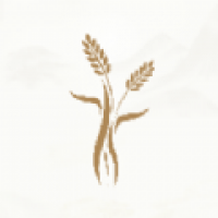 米禾阅读为大家带来了超级舒适的阅读体验，里面的书籍资源超多，有简洁的页面分类，还支持个性化的阅读推荐，同时还有超快的更新速度，还能在阅读中分享自己的看法，对书籍进行评论，强大的搜索功能，让你能看快速找到自己相看的，全部都是支持免费阅读的，享受阅读就在米禾阅读官网版中哦，真的太香了。