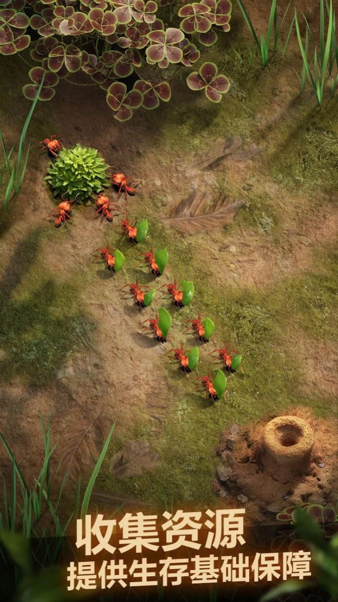 小小蚁国蚁族总动员-图1