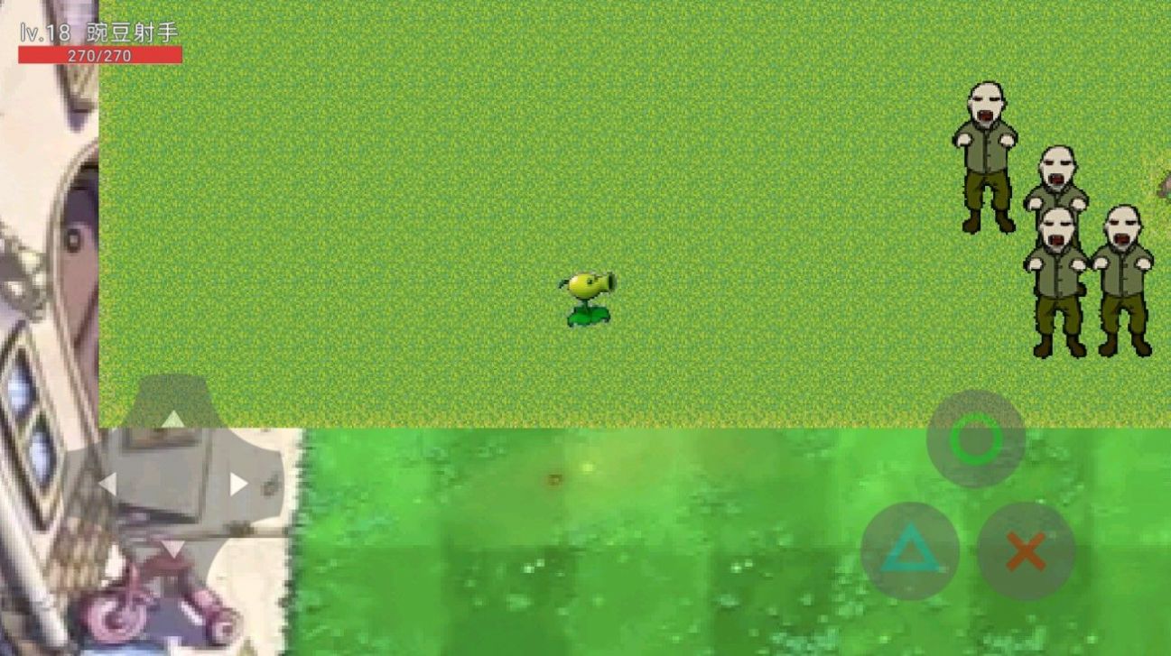 植物大战姜丝-图2