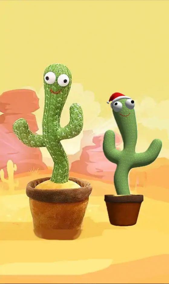 会说话会跳舞的仙人掌-图3