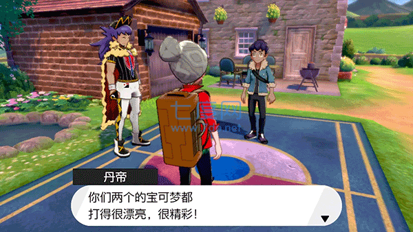 精灵宝可梦剑盾-图2