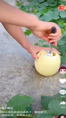 南猴短视频-图2