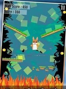 兔子踢腿跳-图2