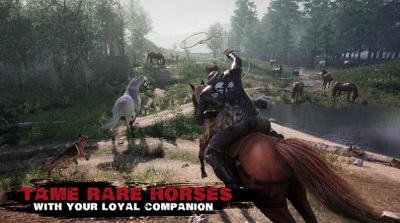 Crisis X last survival-图1