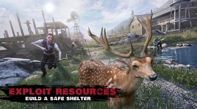 Crisis X last survival-图2