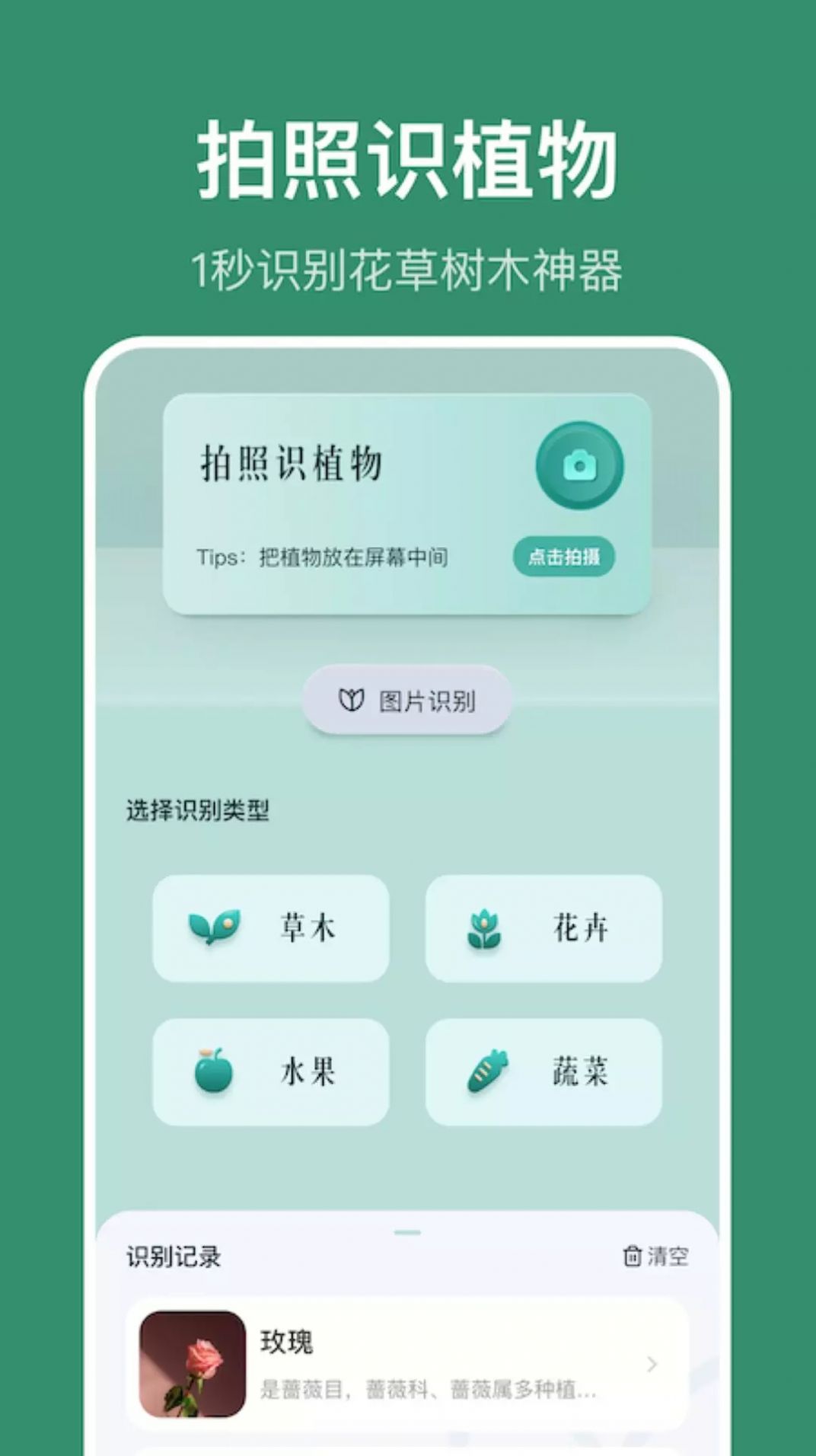 小黄养花-图1