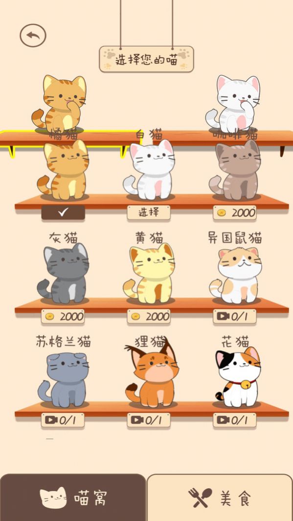 夏天的乐队-图2