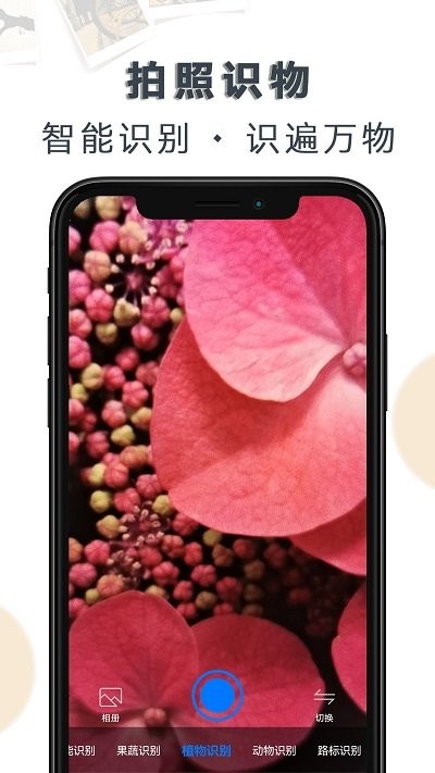 豆拍拍照识物-图1