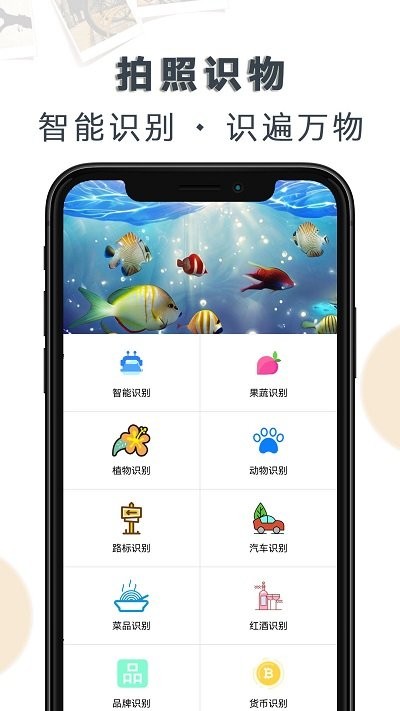 豆拍拍照识物-图3