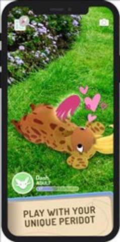 精灵宝可梦peridot-图1