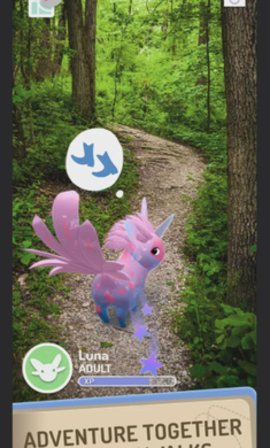 精灵宝可梦peridot-图3