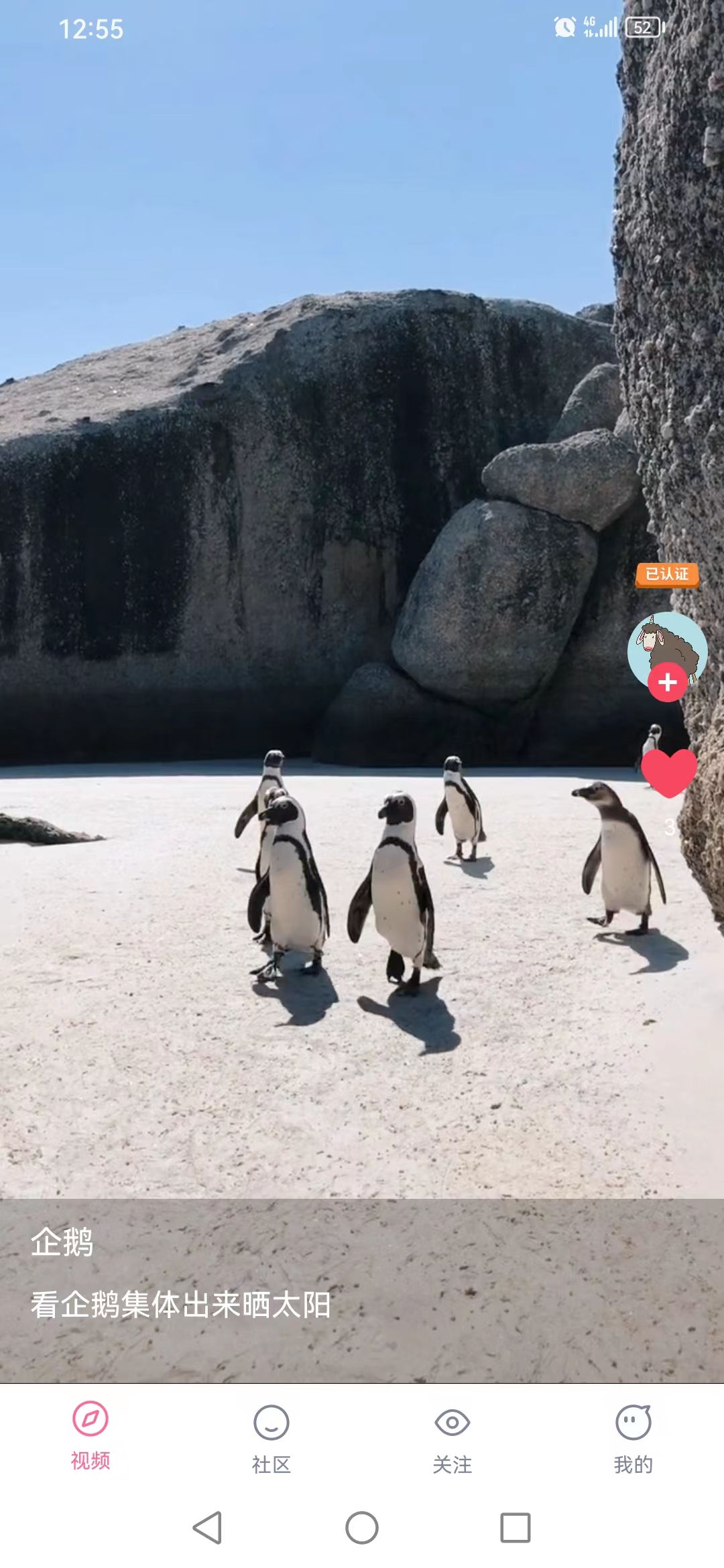 聚宝短视频-图1