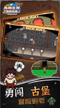 岛屿生存圣庙遗宝-图1