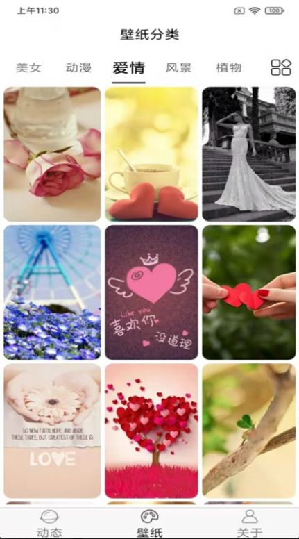 ​飞花动态壁纸-图1