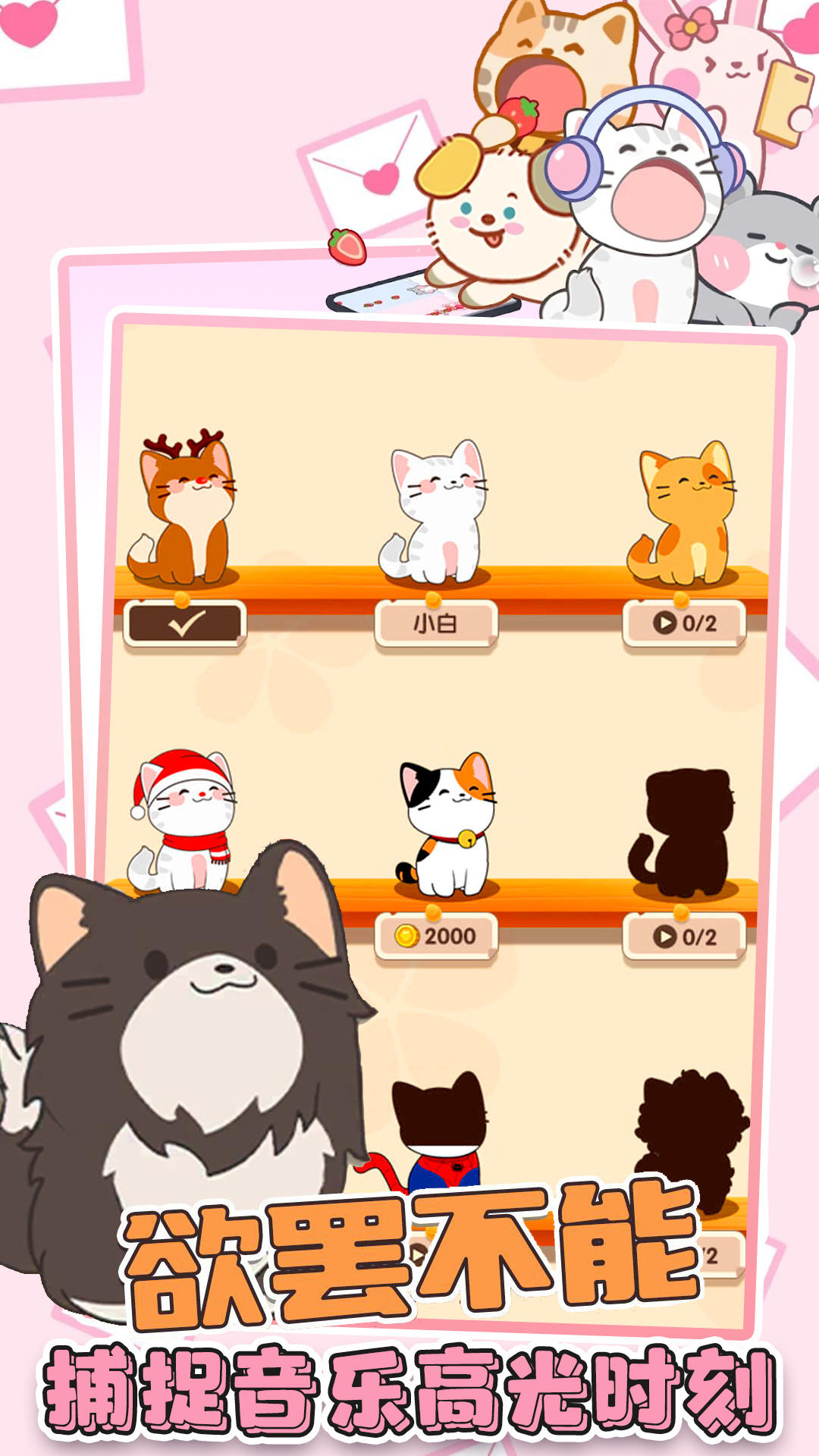 猫咪音乐双重奏-图1