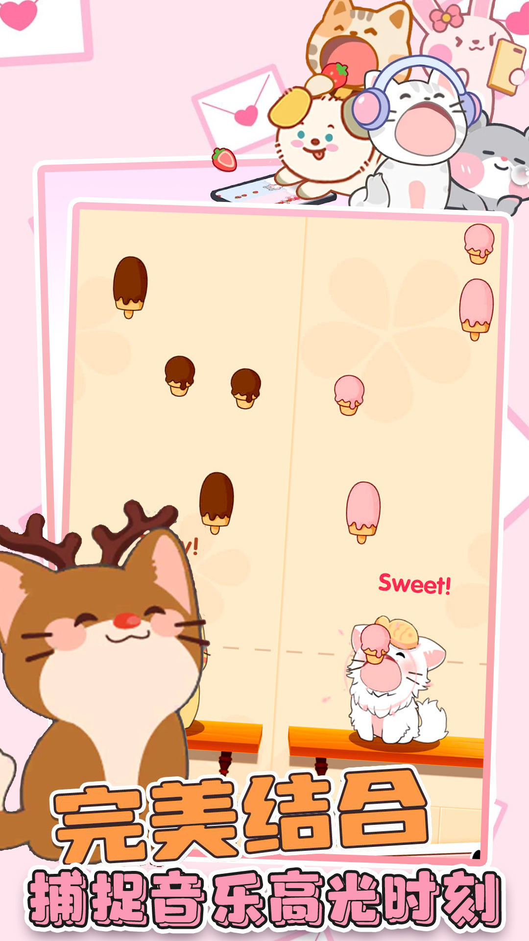 猫咪音乐双重奏-图2