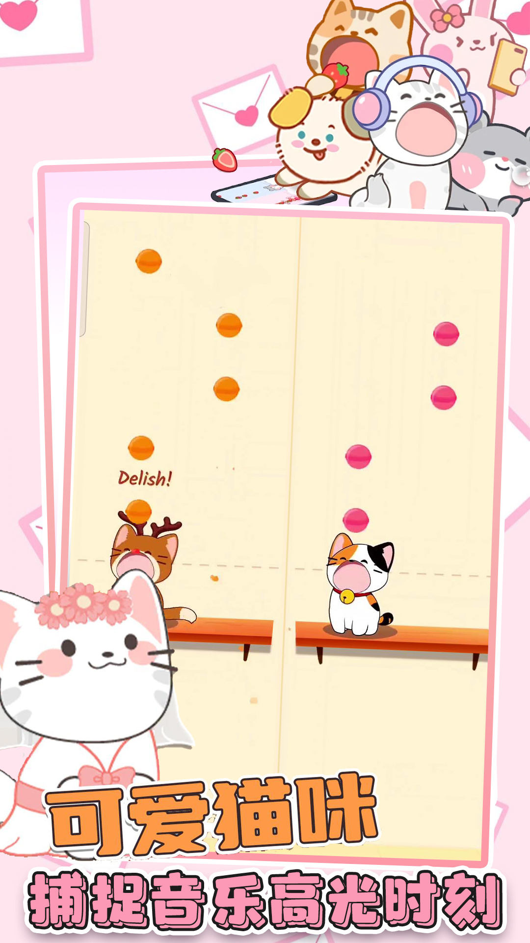 猫咪音乐双重奏-图4