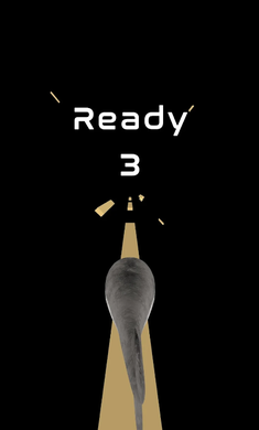 飞吧萨卡班甲鱼-图3