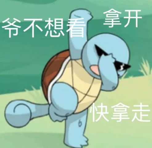 杰尼龟憨憨表情包-图1