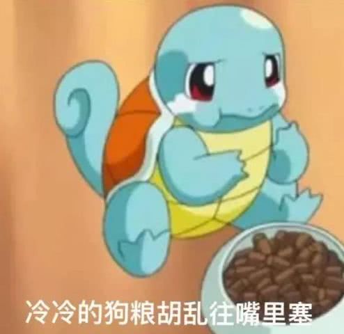 杰尼龟憨憨表情包-图4