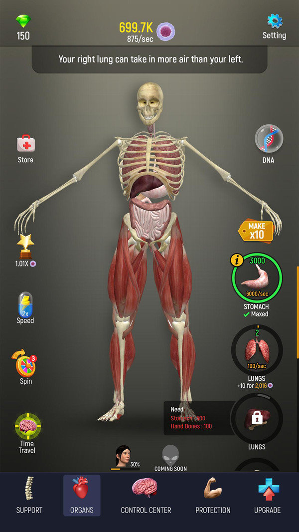 放置人体模型-图3