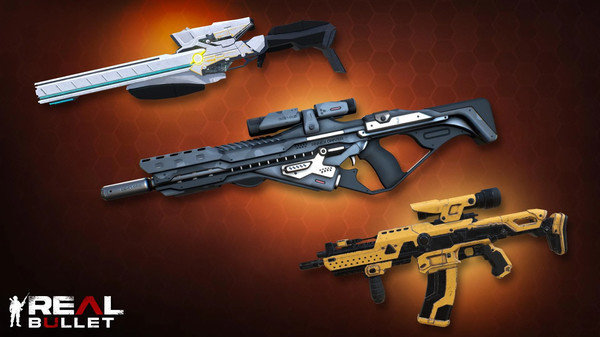 真实射鸡精英队-图2