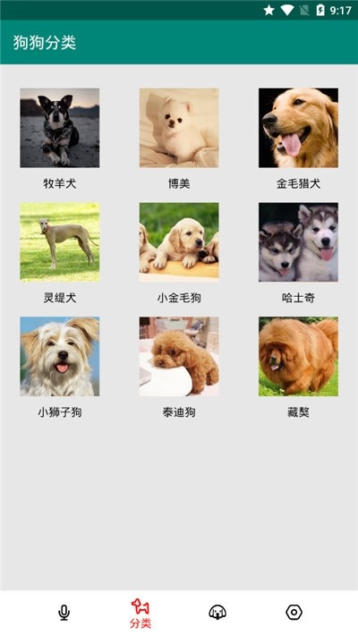 汪汪狗语翻译-图3