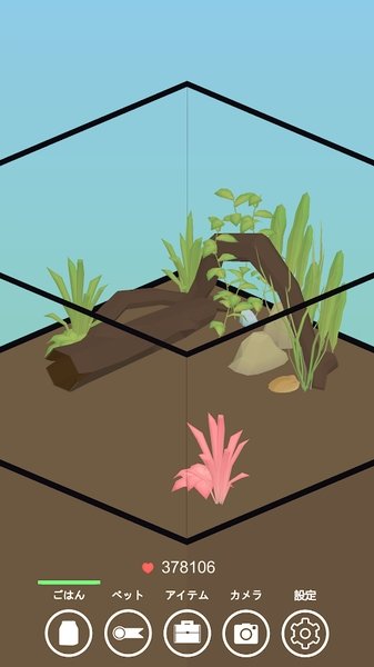 青蛙生活 青蛙生活