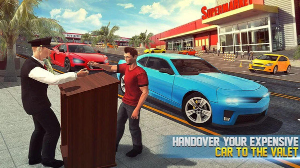 真实泊车大师 真实泊车大师