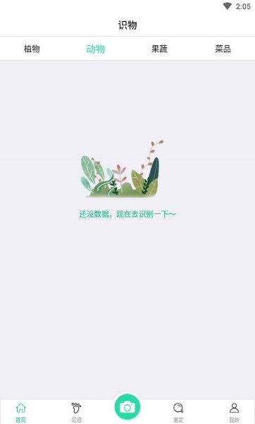掌上植物网-图2