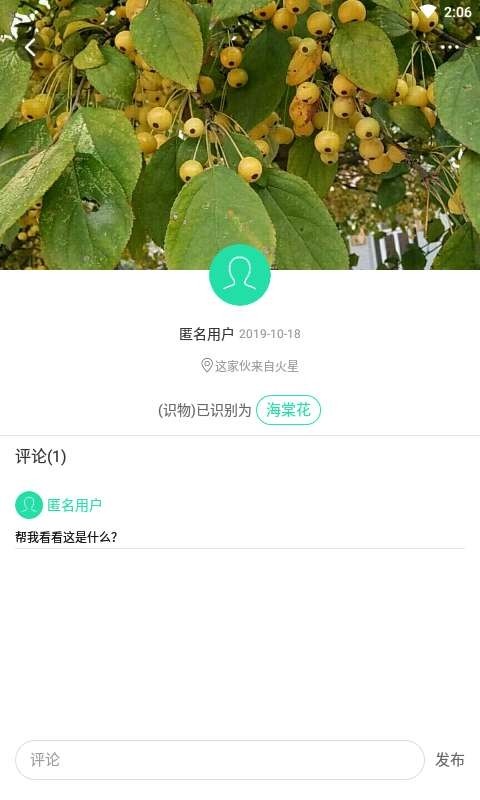 掌上植物网-图3