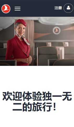 土耳其航空 土耳其航空