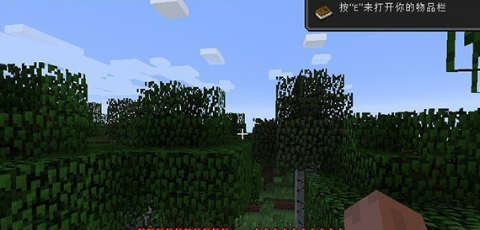 我的世界国际版-图1