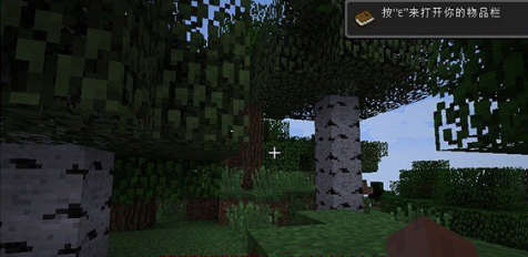 我的世界国际版-图2