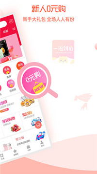 中国网购平台-图1