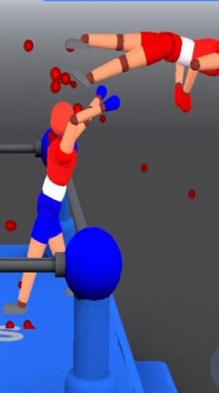 醉拳摔跤双人手机版-图2