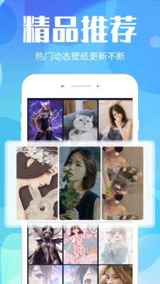 视频桌面 视频桌面