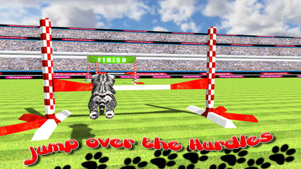 猫咪运动会-图1