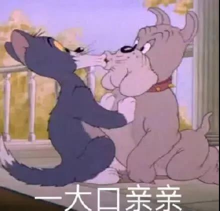 爆笑撩妹潮图猫和老鼠表情包 爆笑撩妹潮图猫和老鼠表情包