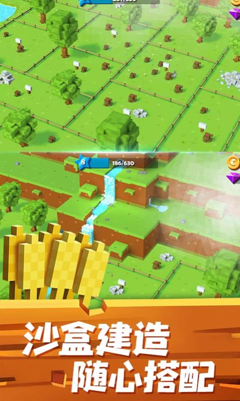 疯狂动物森林-图3