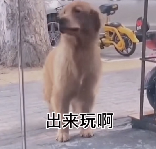 在干嘛出来玩啊 在干嘛出来玩啊