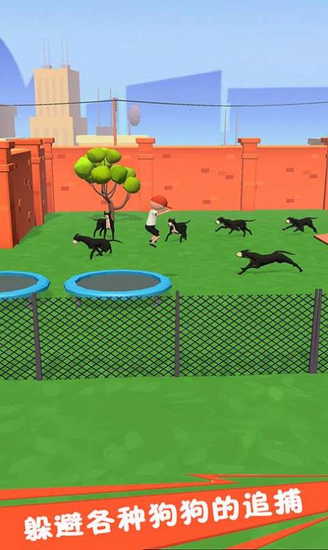 奔跑吧狗蛋-图4
