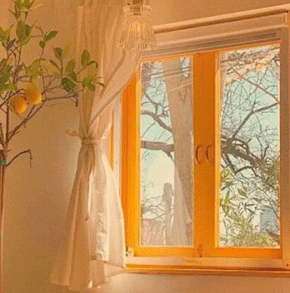 一看就舒心的图片 一看就舒心的图片